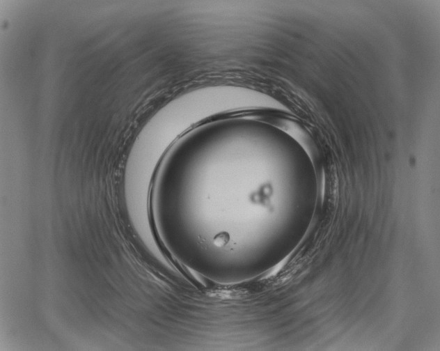 X0000067500558200604101233