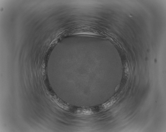 X0000067500559200604101233