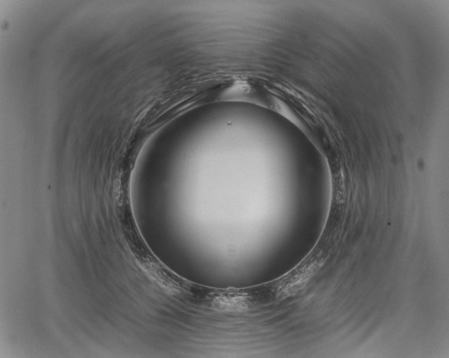 X0000067500560200604101233