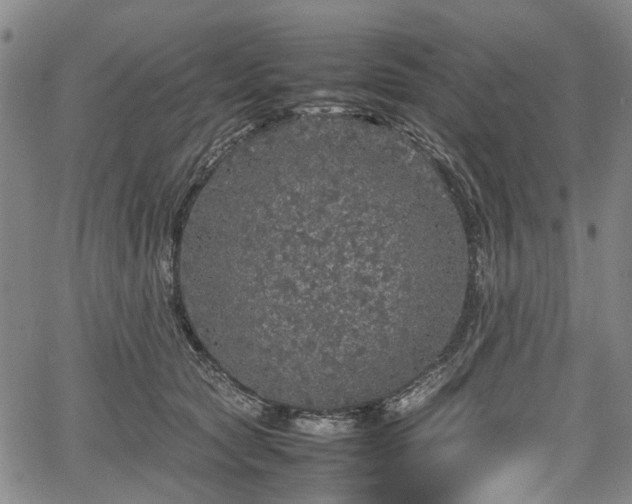 X0000067500561200604101233