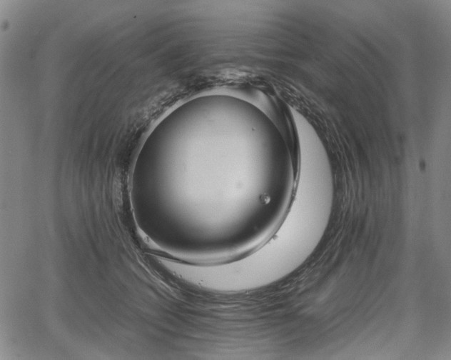 X0000067500562200604101233