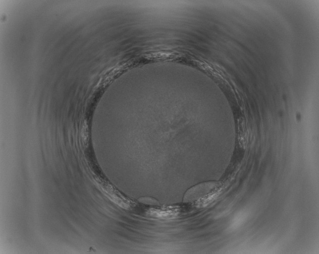 X0000067500563200604101233