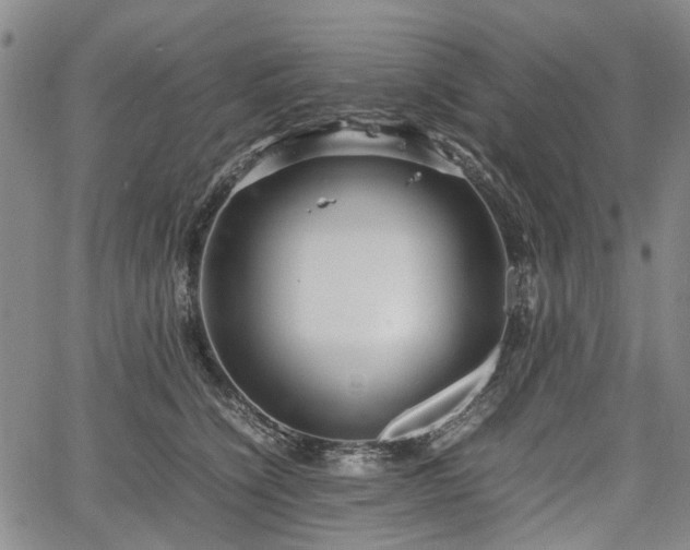 X0000067500564200604101233