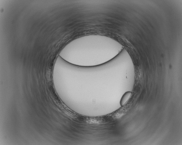 X0000067500565200604101233