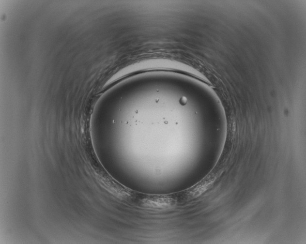 X0000067500567200604101233