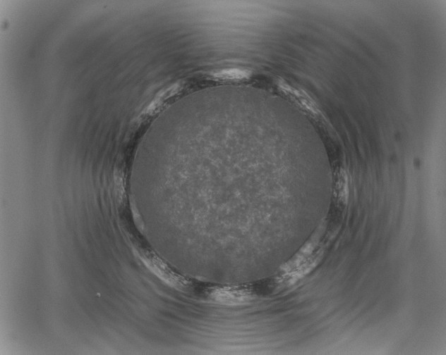 X0000067500568200604101233