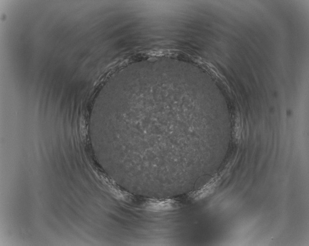 X0000067500569200604101233