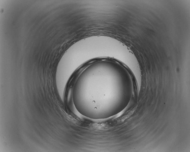 X0000067500570200604101233