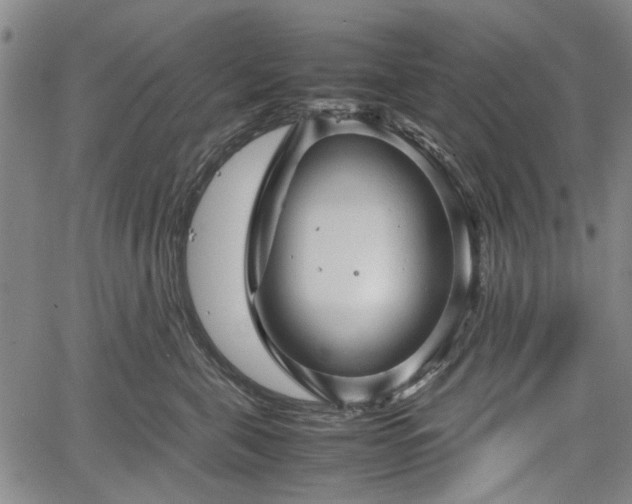 X0000067500571200604101233