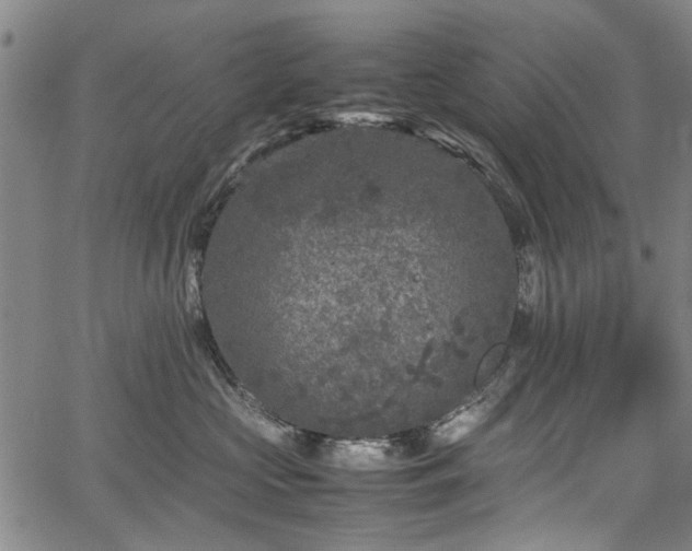 X0000067500573200604101233