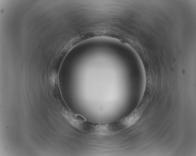 X0000067500574200604101233