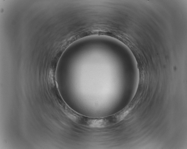 X0000067500575200604101233