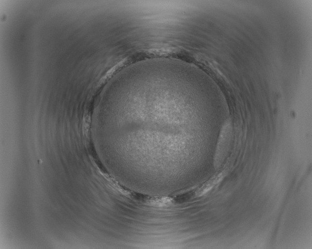 X0000067500576200604101233