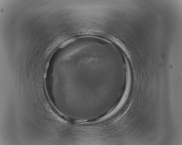 X0000067500577200604101233