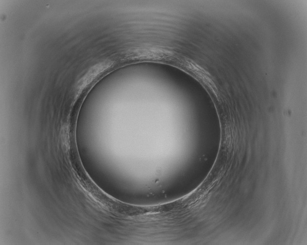 X0000067500578200604101233