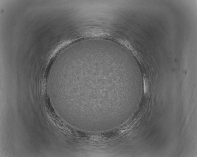 X0000067500579200604101233