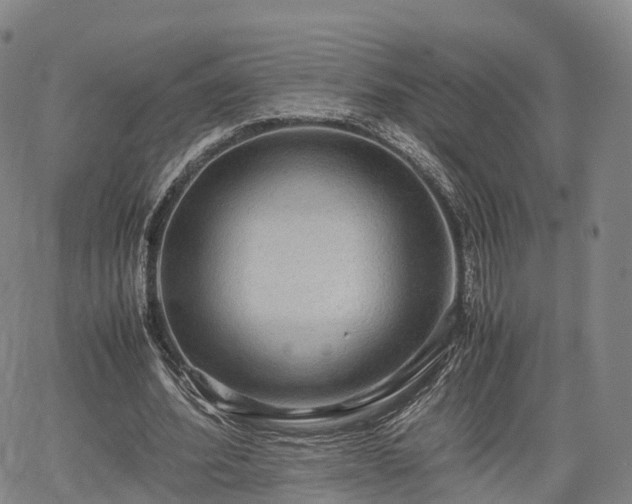 X0000067500580200604101233