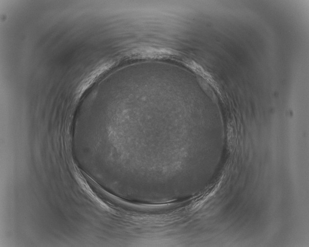 X0000067500581200604101233