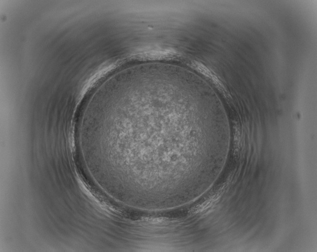 X0000067500582200604101233