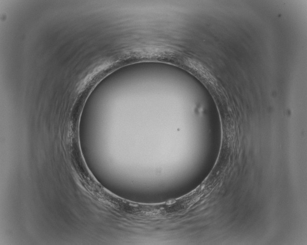 X0000067500583200604101233