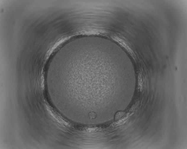 X0000067500584200604101233