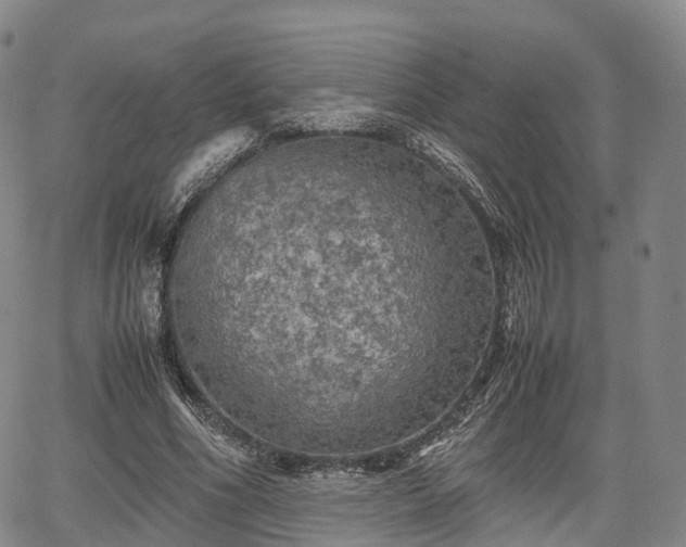 X0000067500586200604101233