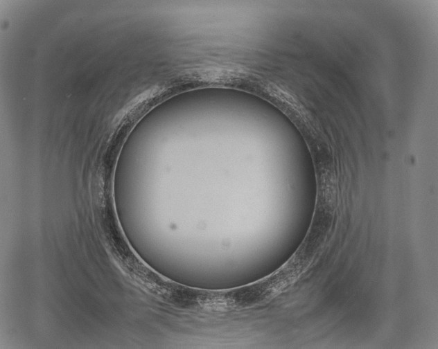 X0000067500587200604101233