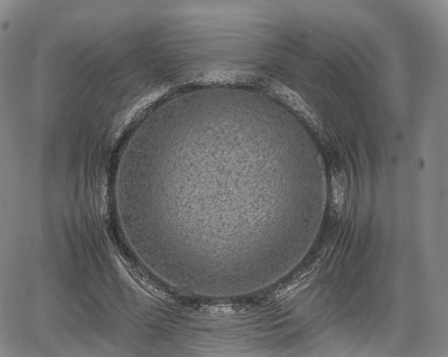 X0000067500588200604101232