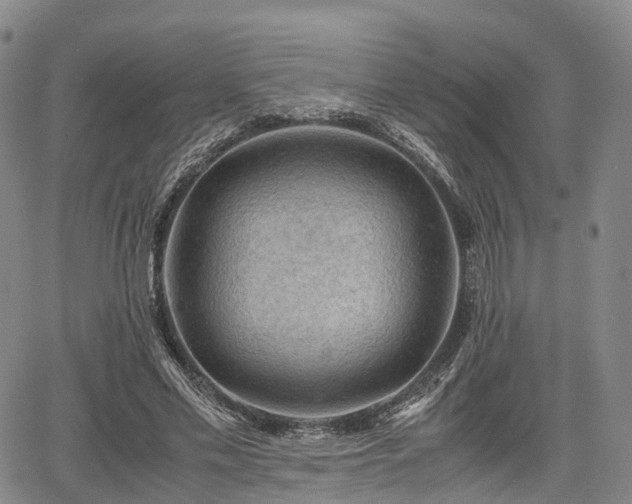 X0000067500589200604101232