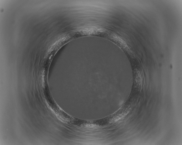 X0000067500590200604101232