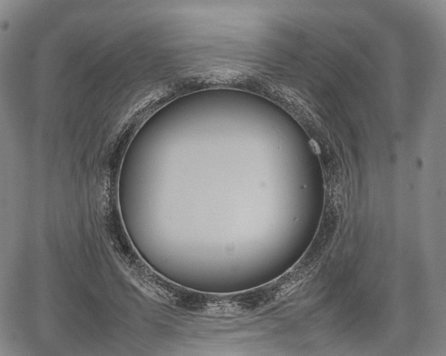 X0000067500591200604101232