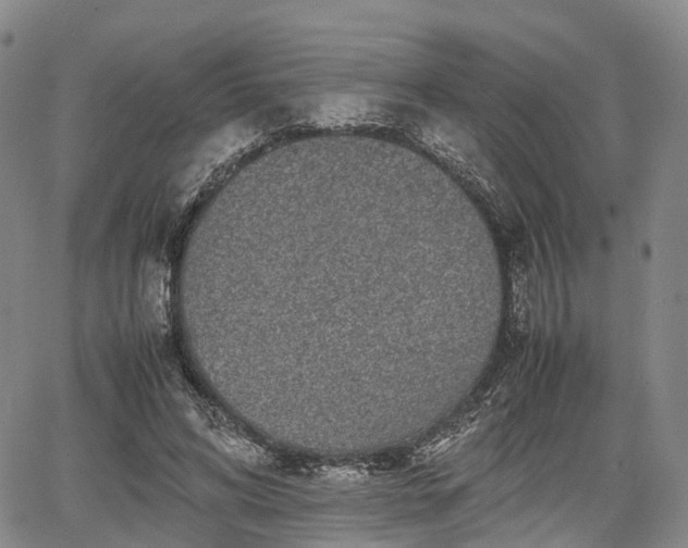 X0000067500592200604101232