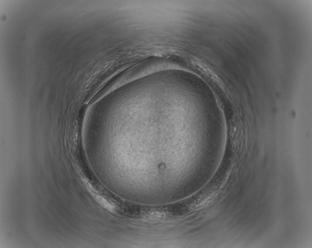 X0000067500593200604101232