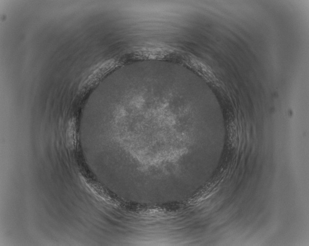 X0000067500594200604101232