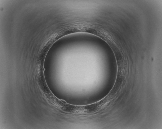 X0000067500595200604101232