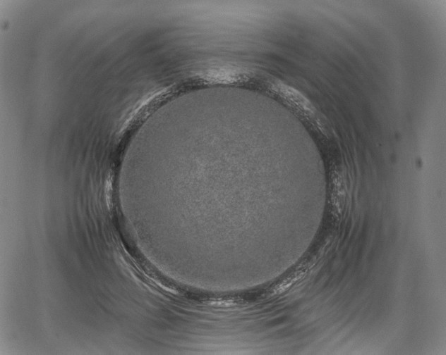 X0000067500596200604101232