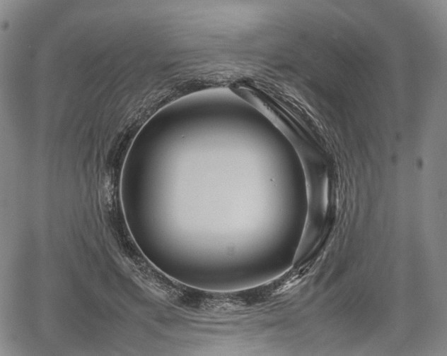 X0000067500597200604101232