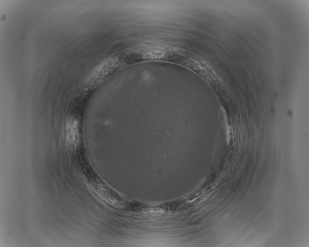 X0000067500598200604101232