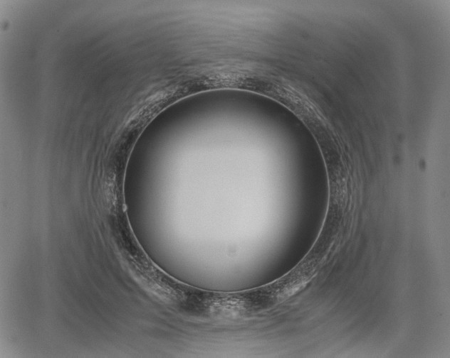 X0000067500599200604101232