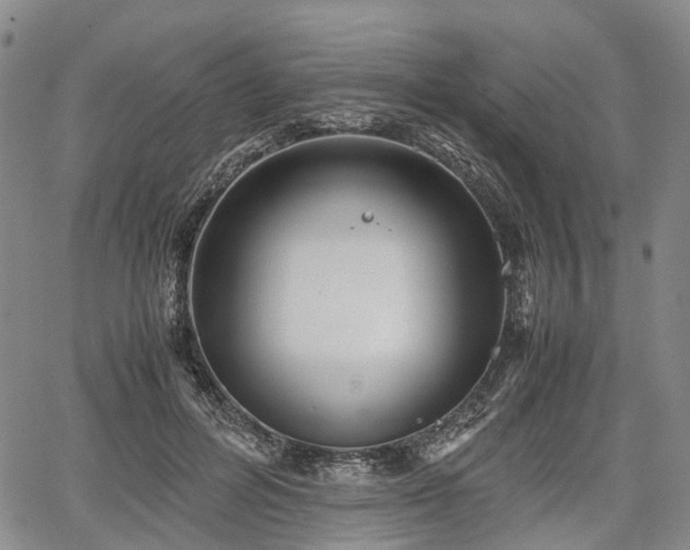 X0000067500600200604101232