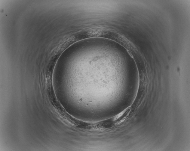 X0000067500601200604101232