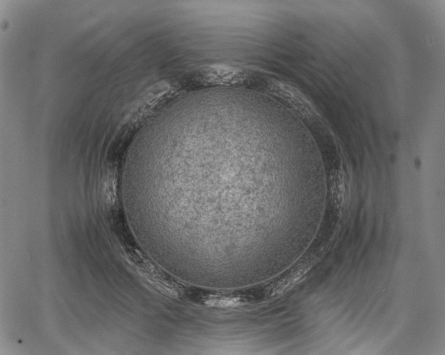 X0000067500602200604101232