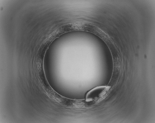 X0000067500603200604101232