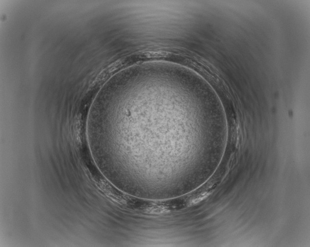 X0000067500604200604101232