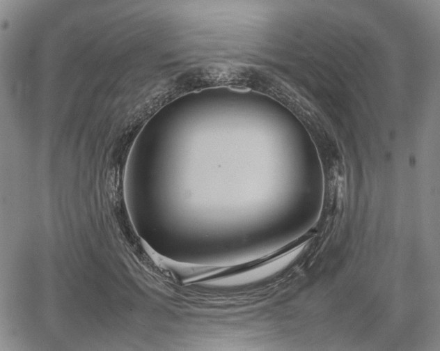 X0000067500605200604101232