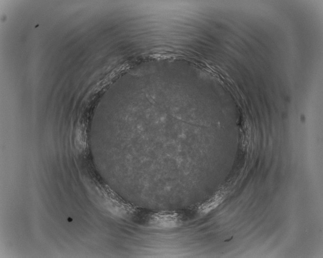 X0000067500606200604101232