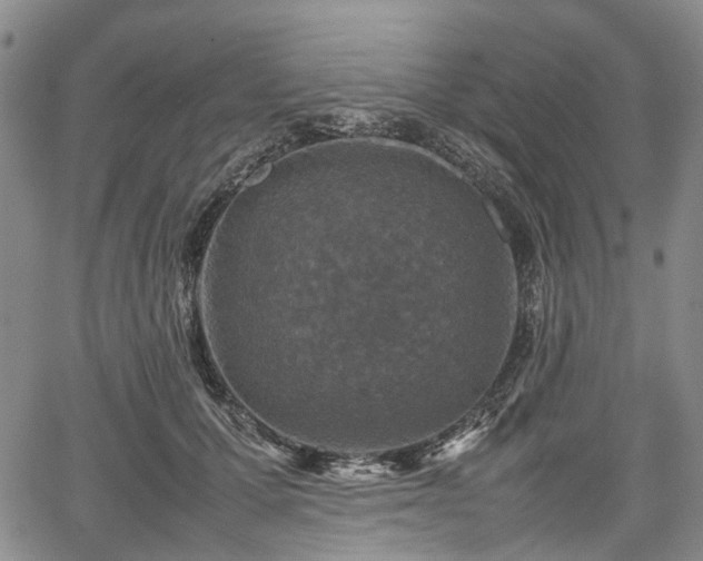 X0000067500607200604101232