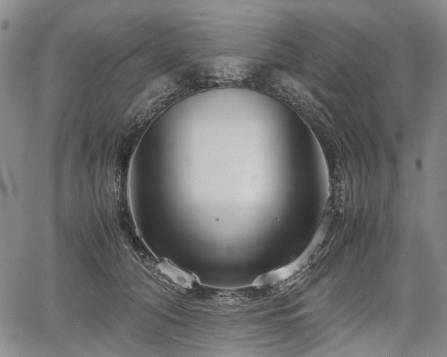 X0000067500608200604101232