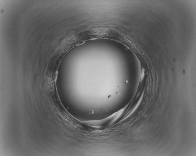 X0000067500609200604101232