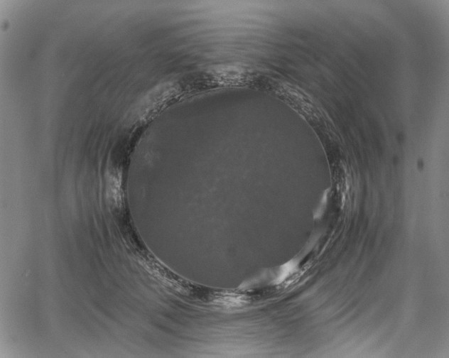 X0000067500610200604101232